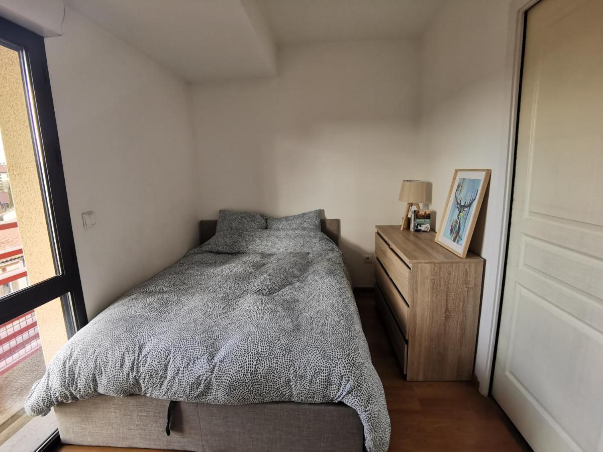 Apartment T1bis Moderne, Lumineux, Belle-vue, Patte D'oie, Parking Toulouse